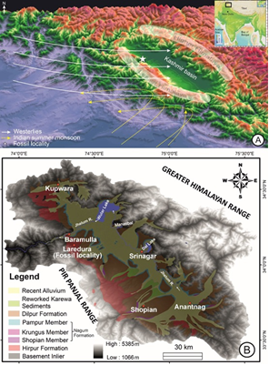 Fossil locality situated